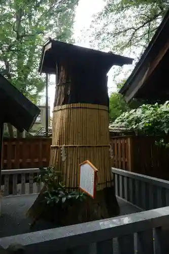 七社神社の自然