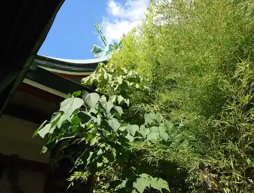 福應神社(兵庫県)