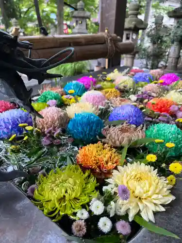 東海市熊野神社の手水舎