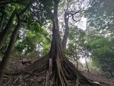 粉河産土神社（たのもしの宮）(和歌山県)