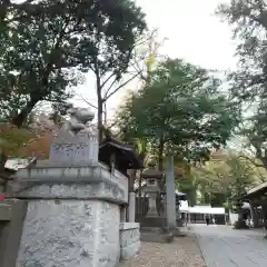 調神社の狛犬