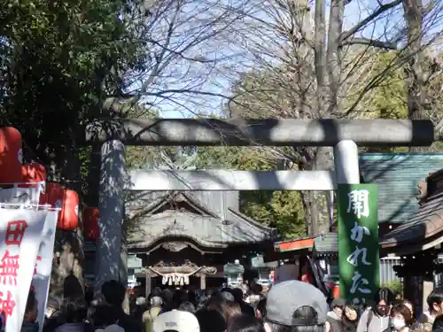 田無神社の鳥居