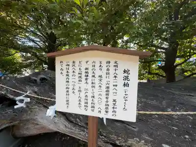 瀬戸神社の{uncategorized: "未分類", other: "その他", undefined: "問題あり", building: "その他建物", grave: "お墓", sacred_gate: "鳥居", guardian: "狛犬", statue: "像", buddha: "仏像", history: "歴史", nature: "自然", garden: "庭園", animal: "動物", pagoda: "塔", temizu: "手水舎", mountain_gate: "山門・神門", sanctuary: "本殿・本堂", subordinate: "末社・摂社", art: "芸術", scenery: "景色", jizo: "地蔵", ema: "絵馬", goshuin: "御朱印", omikuji: "おみくじ", items: "授与品その他", amulet: "お守り", goshuincho: "御朱印帳", eats: "食事", festival: "お祭り", votive_dance: "神楽", shichigosan: "七五三参", wedding: "結婚式", experience: "体験その他", initially: "初詣", around: "周辺", anti_infection: "感染症対策"}
