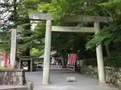 椿大神社の鳥居