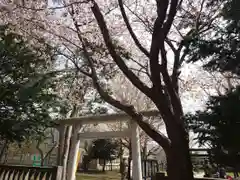 江南神社(北海道)