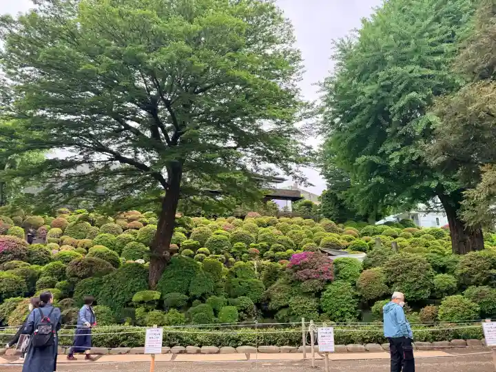 根津神社の{uncategorized: "未分類", other: "その他", undefined: "問題あり", building: "その他建物", grave: "お墓", sacred_gate: "鳥居", guardian: "狛犬", statue: "像", buddha: "仏像", history: "歴史", nature: "自然", garden: "庭園", animal: "動物", pagoda: "塔", temizu: "手水舎", mountain_gate: "山門・神門", sanctuary: "本殿・本堂", subordinate: "末社・摂社", art: "芸術", scenery: "景色", jizo: "地蔵", ema: "絵馬", goshuin: "御朱印", omikuji: "おみくじ", items: "授与品その他", amulet: "お守り", goshuincho: "御朱印帳", eats: "食事", festival: "お祭り", votive_dance: "神楽", shichigosan: "七五三参", wedding: "結婚式", experience: "体験その他", initially: "初詣", around: "周辺", anti_infection: "感染症対策"}
