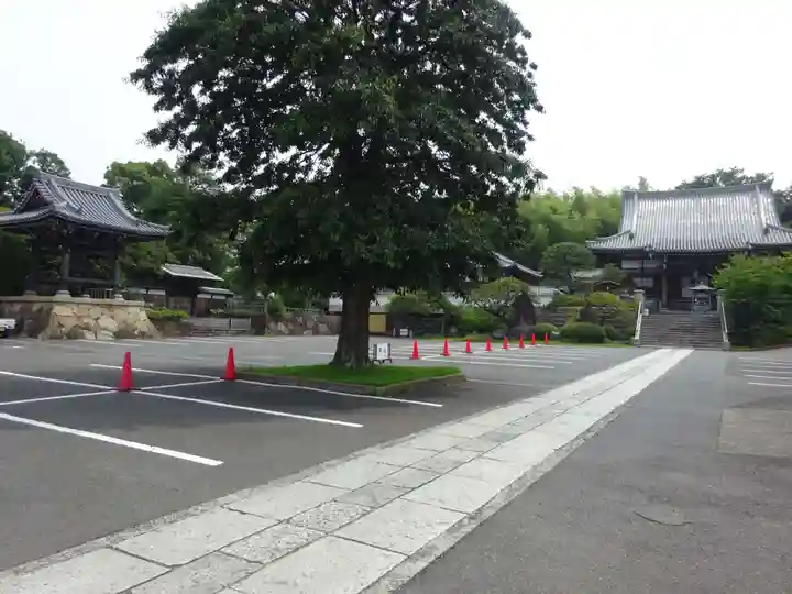 妙蓮寺のその他建物