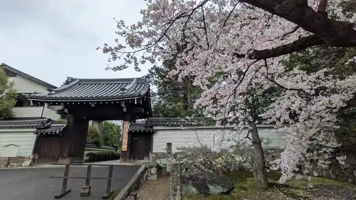 隨心院(随心院)(京都府)