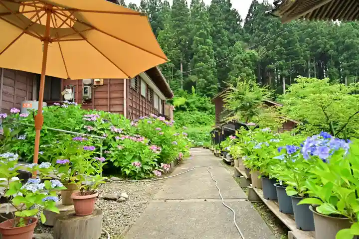 光照寺(新潟県)