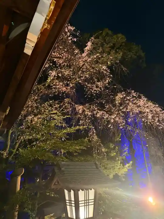 子安神社の{uncategorized: "未分類", other: "その他", undefined: "問題あり", building: "その他建物", grave: "お墓", sacred_gate: "鳥居", guardian: "狛犬", statue: "像", buddha: "仏像", history: "歴史", nature: "自然", garden: "庭園", animal: "動物", pagoda: "塔", temizu: "手水舎", mountain_gate: "山門・神門", sanctuary: "本殿・本堂", subordinate: "末社・摂社", art: "芸術", scenery: "景色", jizo: "地蔵", ema: "絵馬", goshuin: "御朱印", omikuji: "おみくじ", items: "授与品その他", amulet: "お守り", goshuincho: "御朱印帳", eats: "食事", festival: "お祭り", votive_dance: "神楽", shichigosan: "七五三参", wedding: "結婚式", experience: "体験その他", initially: "初詣", around: "周辺", anti_infection: "感染症対策"}