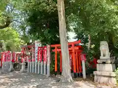 伊奴神社の鳥居