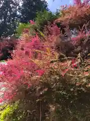 三室戸寺の自然