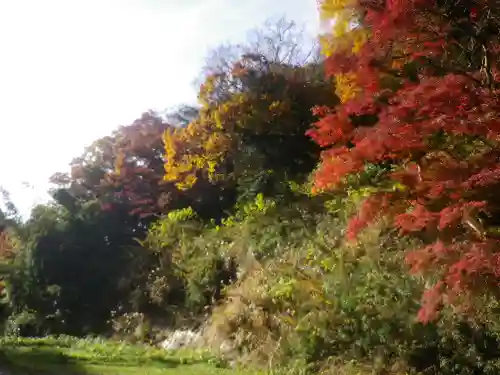 回春院の景色