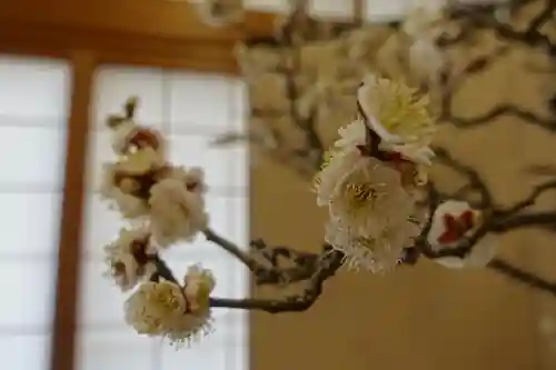 菅原天満宮（菅原神社）の自然