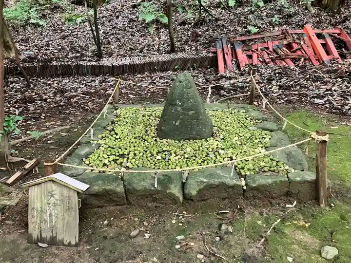 舟津神社(福井県)