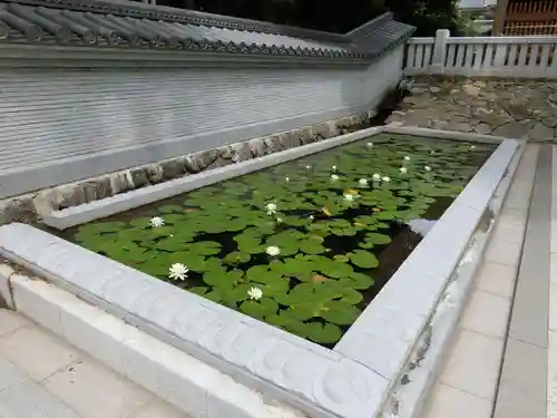 金剛福寺のその他建物