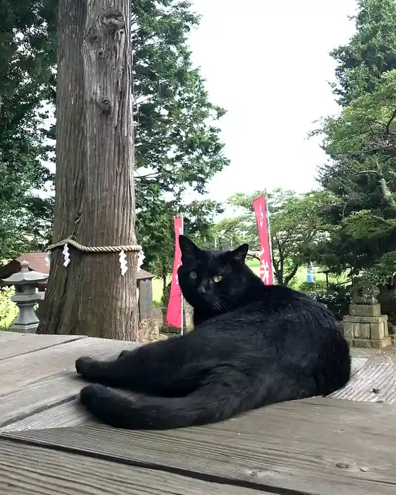 高司神社〜むすびの神の鎮まる社〜(福島県)