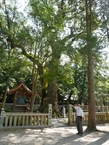 伊弉諾神宮の自然