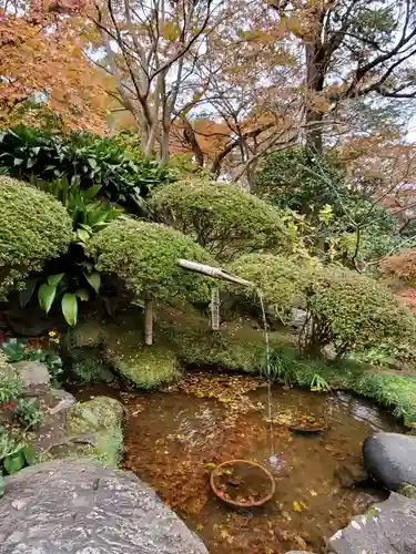 報国寺の庭園