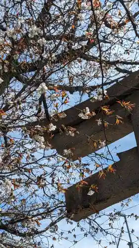 本満寺（本願満足寺）(京都府)