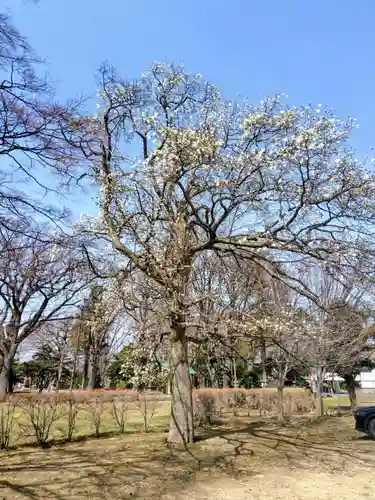 厚別神社(北海道)