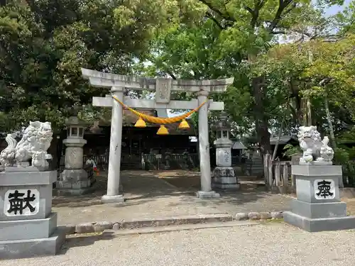 野田八幡宮(愛知県)