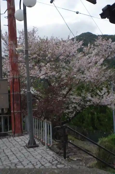 熊野那智大社(和歌山県)