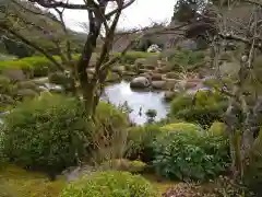 三室戸寺(京都府)