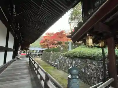 光明寺（粟生光明寺）(京都府)
