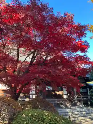 高円寺(東京都)