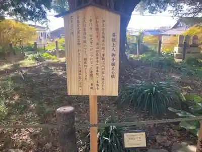 安養院　(田代寺）(神奈川県)