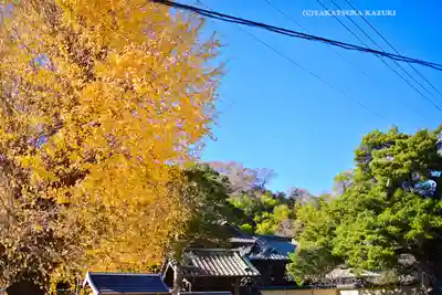 英勝寺(神奈川県)