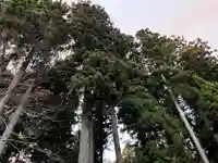 大宮温泉神社(栃木県)