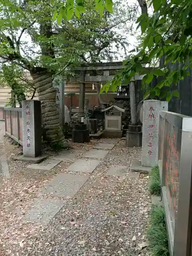 花園神社の{uncategorized: "未分類", other: "その他", undefined: "問題あり", building: "その他建物", grave: "お墓", sacred_gate: "鳥居", guardian: "狛犬", statue: "像", buddha: "仏像", history: "歴史", nature: "自然", garden: "庭園", animal: "動物", pagoda: "塔", temizu: "手水舎", mountain_gate: "山門・神門", sanctuary: "本殿・本堂", subordinate: "末社・摂社", art: "芸術", scenery: "景色", jizo: "地蔵", ema: "絵馬", goshuin: "御朱印", omikuji: "おみくじ", items: "授与品その他", amulet: "お守り", goshuincho: "御朱印帳", eats: "食事", festival: "お祭り", votive_dance: "神楽", shichigosan: "七五三参", wedding: "結婚式", experience: "体験その他", initially: "初詣", around: "周辺", anti_infection: "感染症対策"}