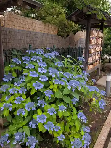 桜神宮(東京都)