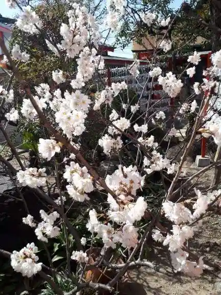 山本八幡宮(大阪府)