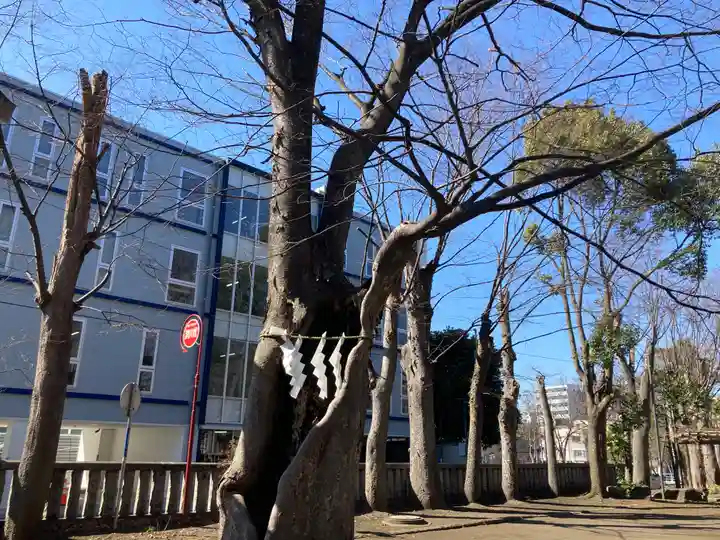 戸部杉山神社(神奈川県)