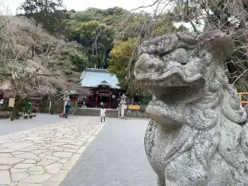 伊豆山神社の狛犬