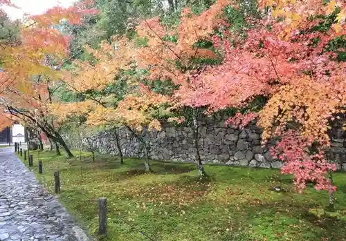 酬恩庵一休寺(京都府)