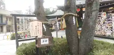 櫻木神社(千葉県)