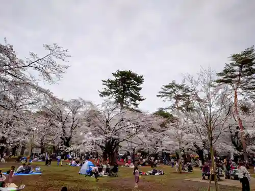 武蔵一宮氷川神社(埼玉県)