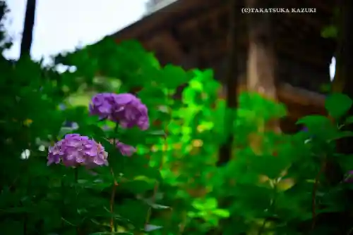 円覚寺(神奈川県)