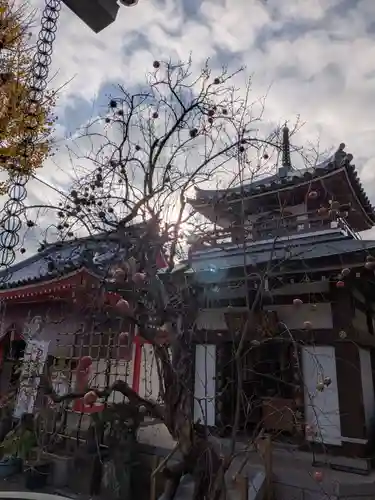 成願寺(東京都)