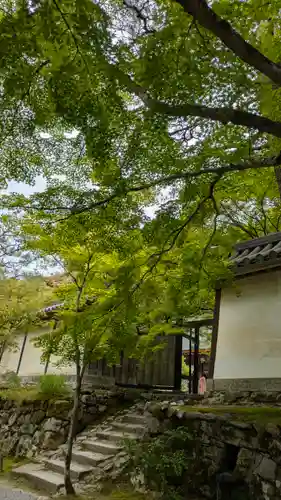 二尊院(京都府)