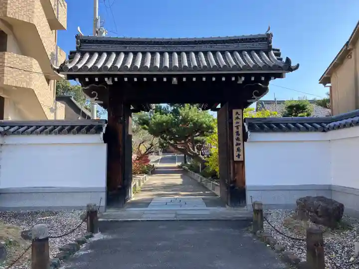 百萬遍知恩寺(京都府)