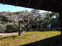 長壽寺(長寿寺)(神奈川県)