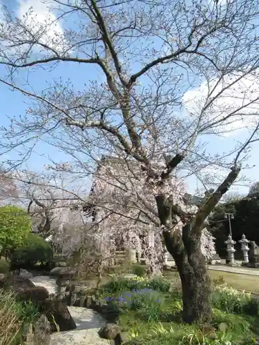 慶龍寺(茨城県)