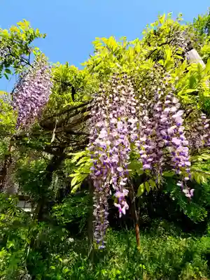 神炊館神社 ⁂奥州須賀川総鎮守⁂の周辺