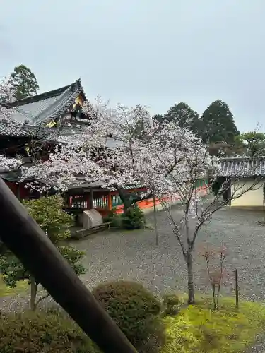 毘沙門堂門跡の{uncategorized: "未分類", other: "その他", undefined: "問題あり", building: "その他建物", grave: "お墓", sacred_gate: "鳥居", guardian: "狛犬", statue: "像", buddha: "仏像", history: "歴史", nature: "自然", garden: "庭園", animal: "動物", pagoda: "塔", temizu: "手水舎", mountain_gate: "山門・神門", sanctuary: "本殿・本堂", subordinate: "末社・摂社", art: "芸術", scenery: "景色", jizo: "地蔵", ema: "絵馬", goshuin: "御朱印", omikuji: "おみくじ", items: "授与品その他", amulet: "お守り", goshuincho: "御朱印帳", eats: "食事", festival: "お祭り", votive_dance: "神楽", shichigosan: "七五三参", wedding: "結婚式", experience: "体験その他", initially: "初詣", around: "周辺", anti_infection: "感染症対策"}
