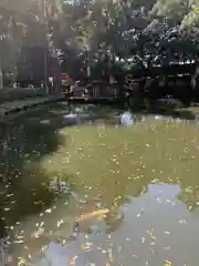 狭井坐大神荒魂神社(狭井神社)(奈良県)